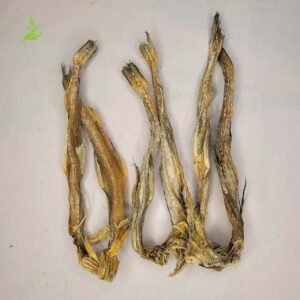 লইট্যা শুটকি